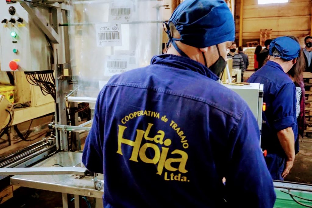 Cooperativa La Hoja San Ignacio