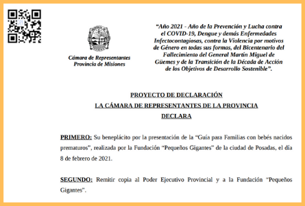 Guía para familias con bebés nacidos prematuros