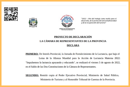 Jornada de Fortalecimiento de la Lactancia "Alianza Mundial para la Acción de Lactancia Materna 2022: Impulsemos la Lactancia Apoyando y Educando"
