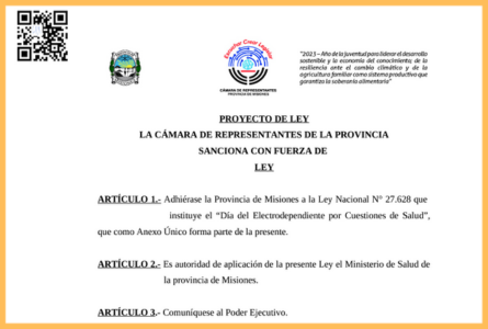 Proyecto de Ley – Proponiendo la adhesión de la Provincia a la Ley Nacional N.° 27.628.